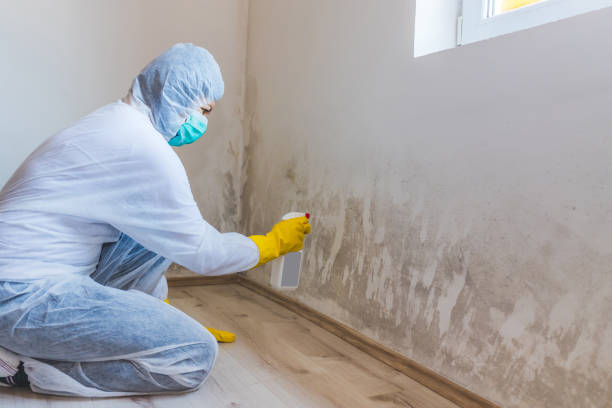 Best Mold Removal for HVAC Installations  in Bon Secour, AL