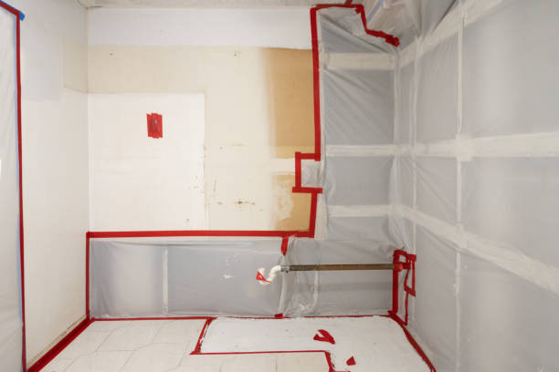 Best Mold Remediation for Healthcare Facilities  in Bon Secour, AL