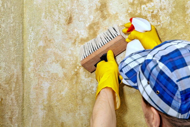 Best Mold Documentation for Insurance Claims  in Bon Secour, AL