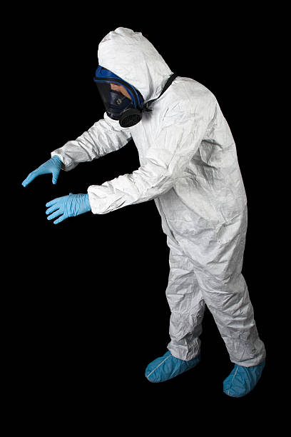 Best Basement Mold Removal  in Bon Secour, AL