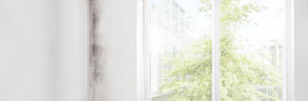 Best Indoor Air Quality Assessment  in Bon Secour, AL