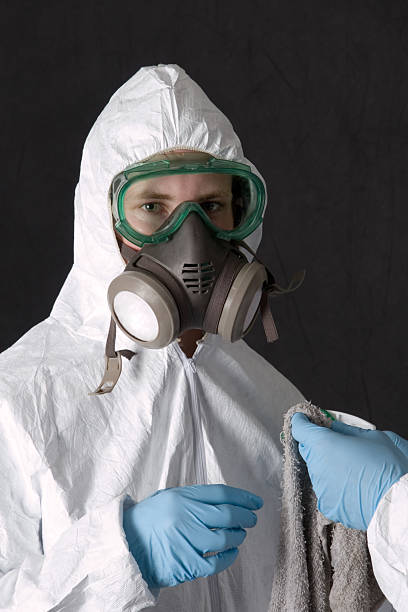 Professional Mold Removal in Bon Secour, AL